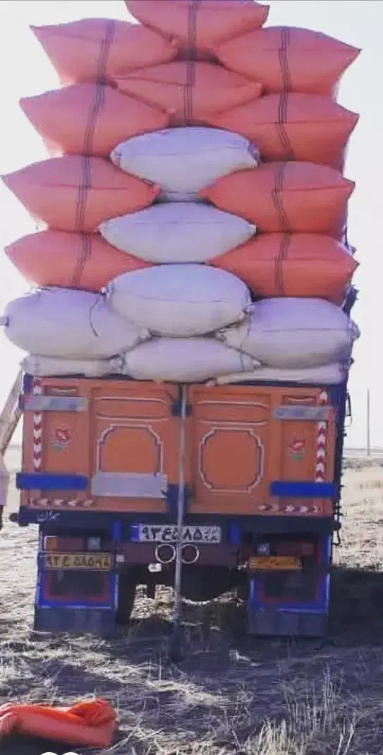 کاه درجه یک|لوازم جانبی حیوانات|گرمسار, |دیوار