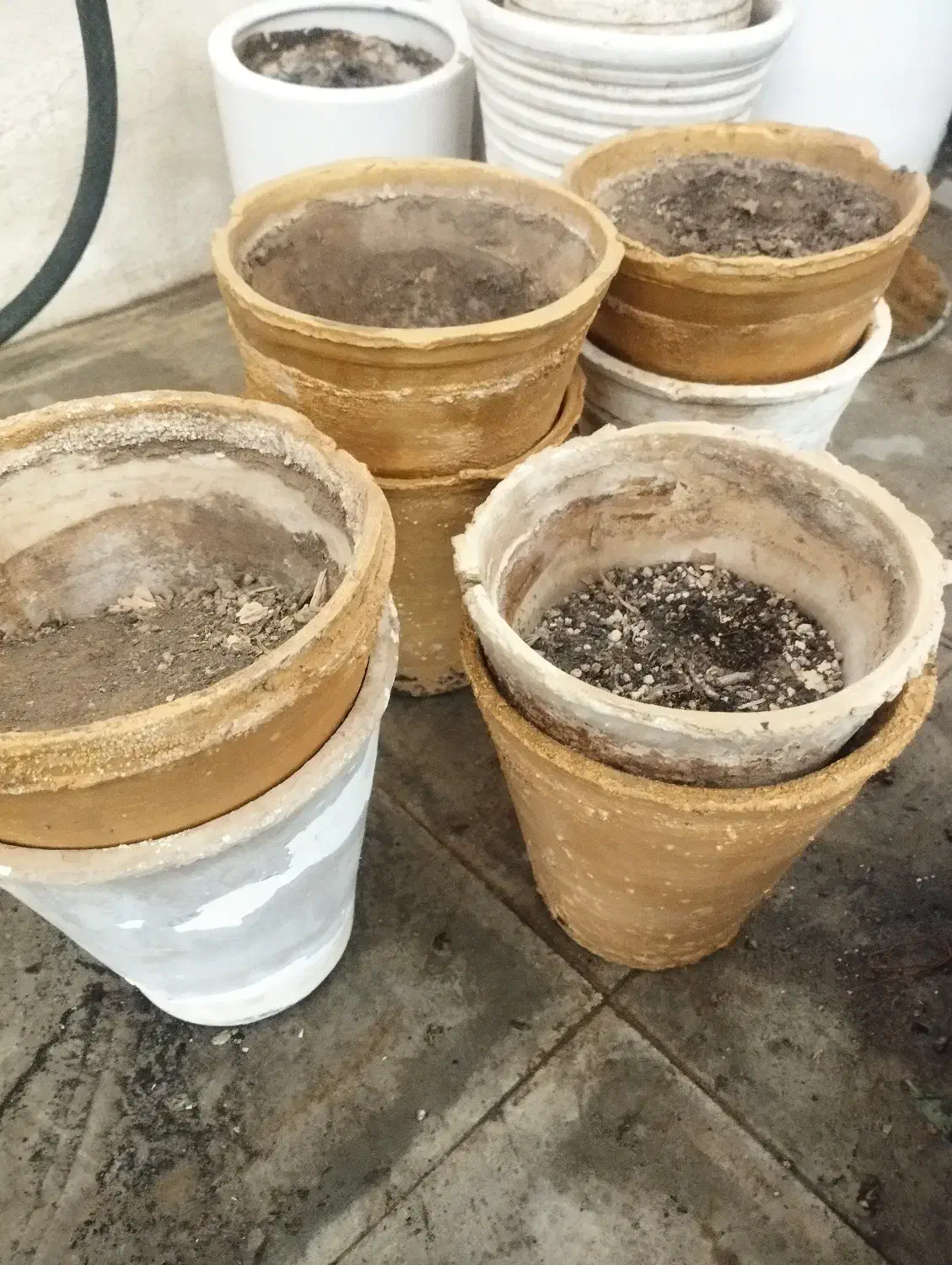 استند و گلدان سفالی و پلاستیکی|گل و گیاه طبیعی|جهرم, |دیوار