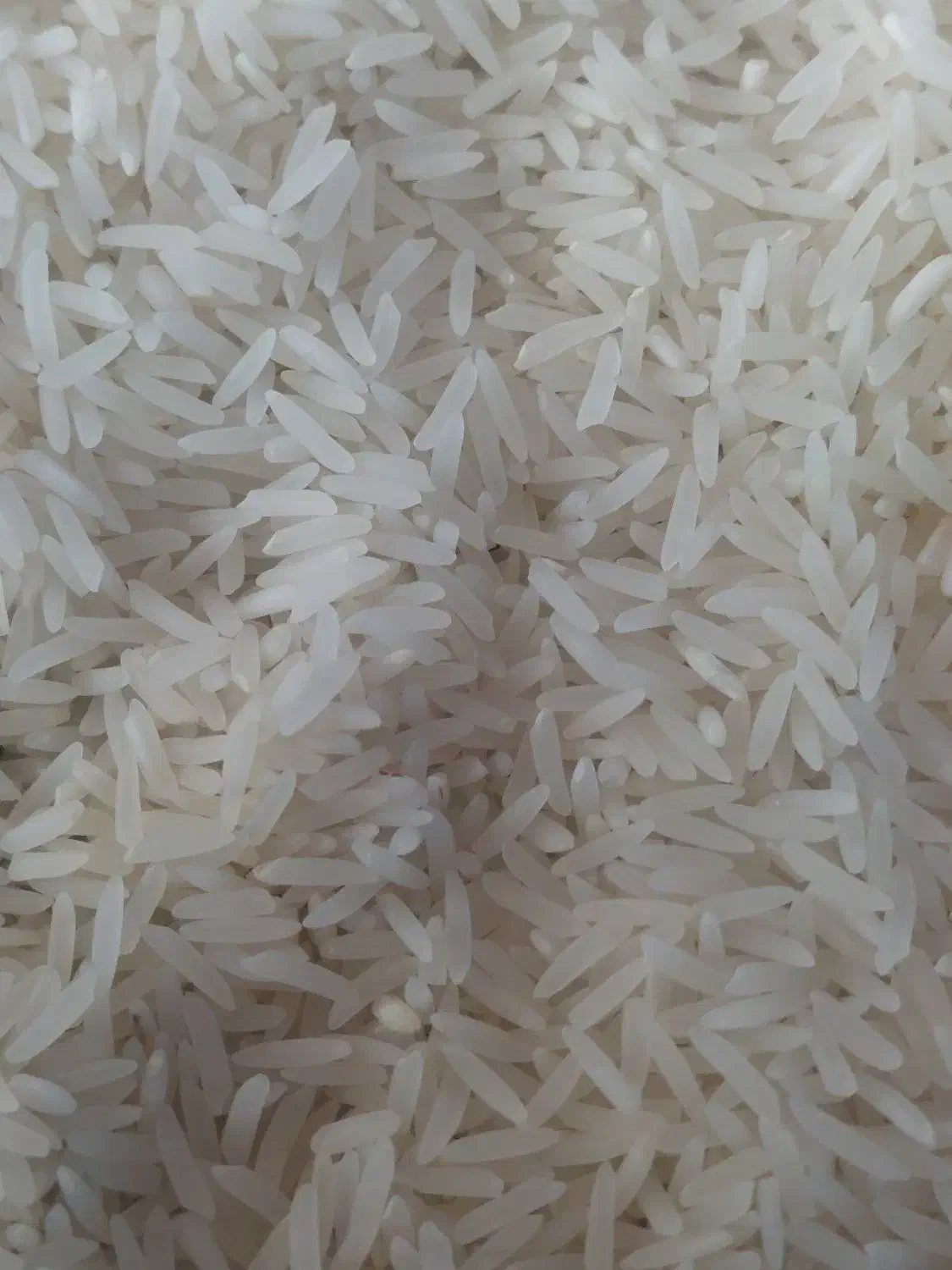 فجردرجه یک۹۰روز۰|خوردنی و آشامیدنی|مزرعه کتول, |دیوار