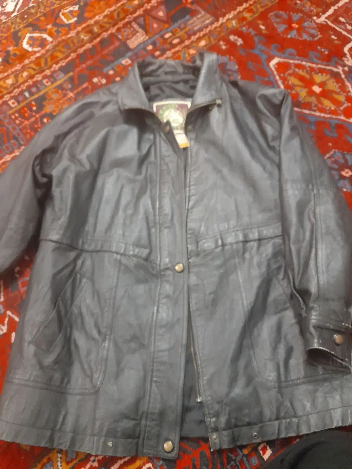 کت چرم گاوی اصل|لباس|تبریز, |دیوار