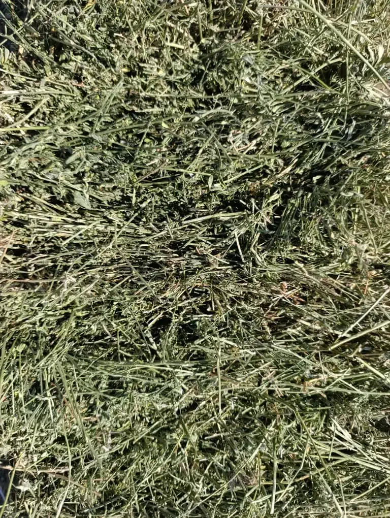 یونجه پرس قالبی خشک انباری و کوفته|لوازم جانبی حیوانات|شیراز, رحمتآباد|دیوار