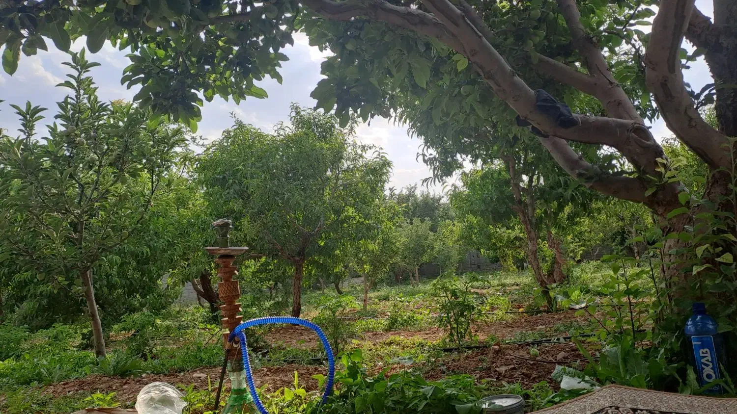 زمین  بر جاده اصلی|فروش زمین و ملک کلنگی|نوکنده, |دیوار