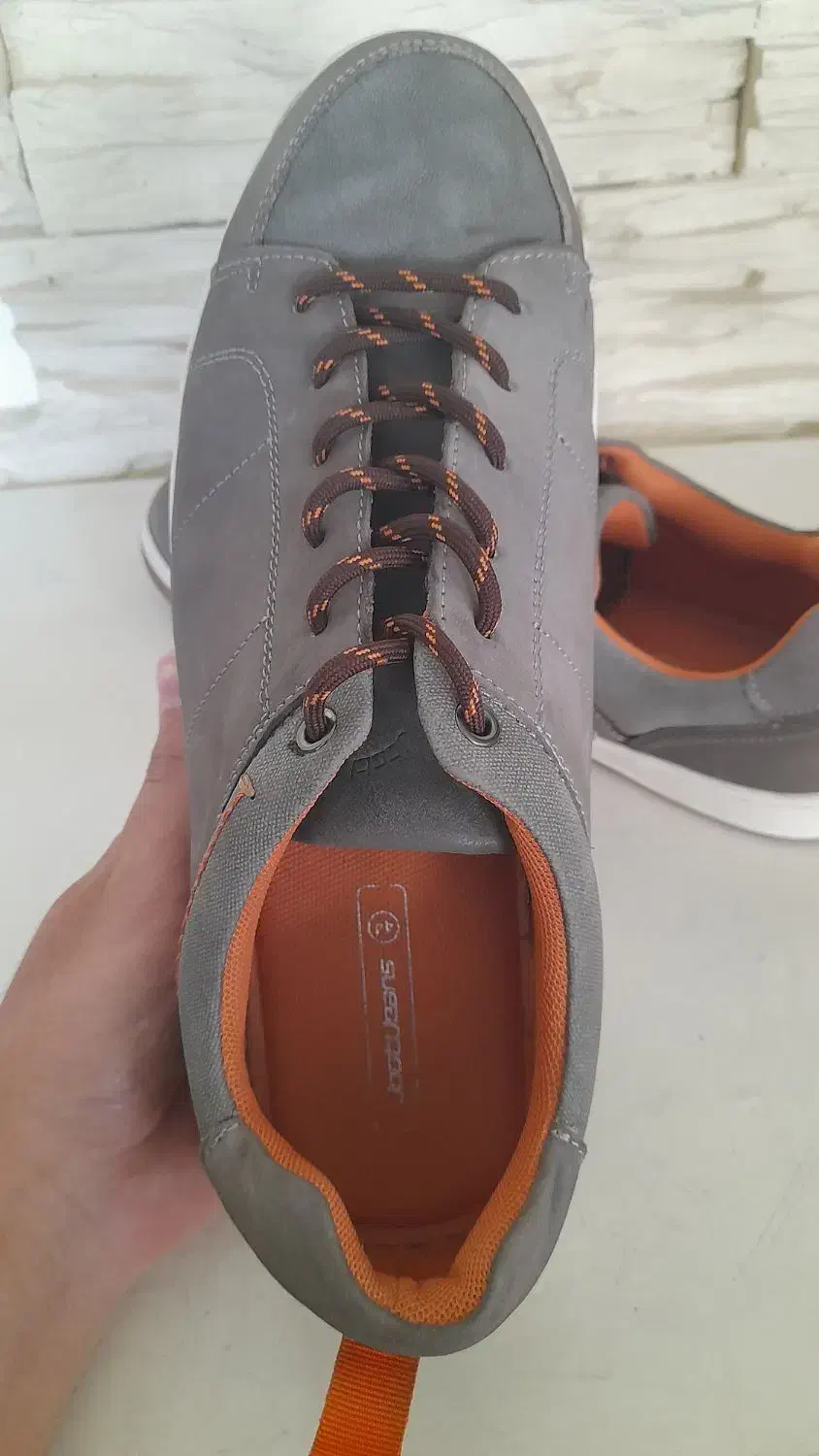 کتونی|کیف، کفش، کمربند|اراک, |دیوار