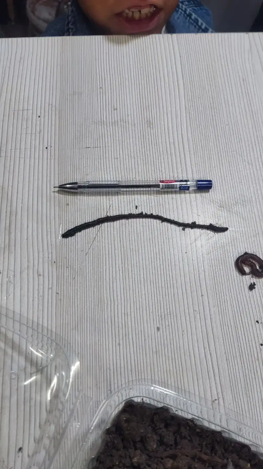 ماهیگیری|ماهیگیری|اصفهان, عمان سامانی|دیوار