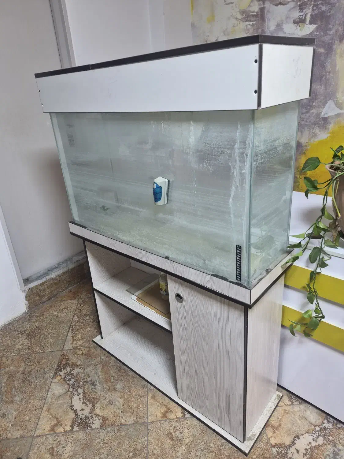 آکواریوم|ماهی|هشتگرد, شهرک ایران خودرو|دیوار