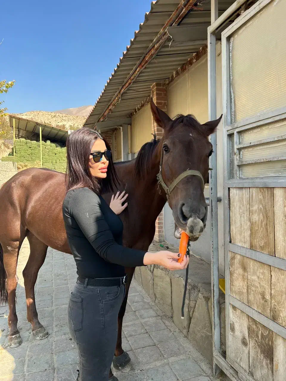 فروش اسب مادیان یکسر|اسب و تجهیزات اسب‌سواری|لواسان, |دیوار