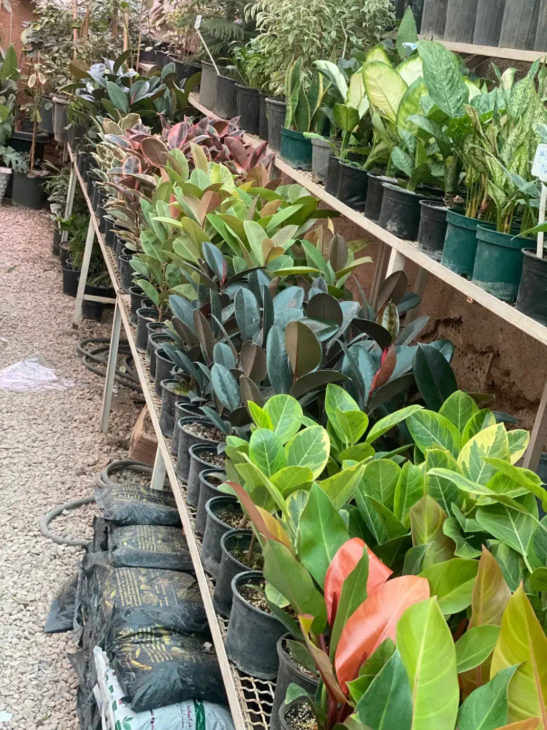 استخدام نیروی در گلخانه|استخدام خدمات فروشگاه و رستوران|اسفراین, |دیوار