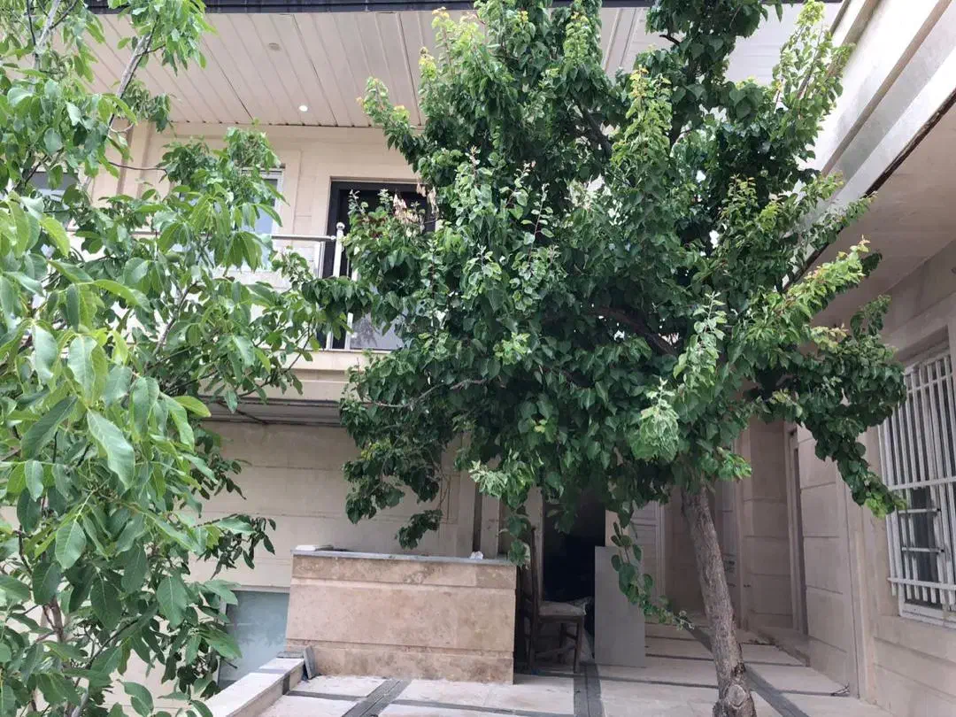 ویلاباغ۶۵۰زمین۲۵۰بنافرصت طلایی برای خرید*مهراباد*|فروش خانه و ویلا|رودهن, |دیوار