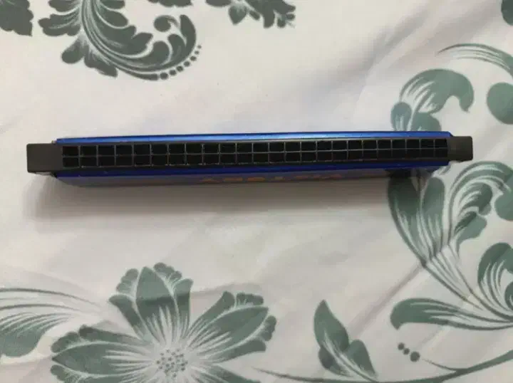 هارمونیکا برند ویکتوریا ۱۴ سوراخ|سازهای بادی|اردکان, |دیوار