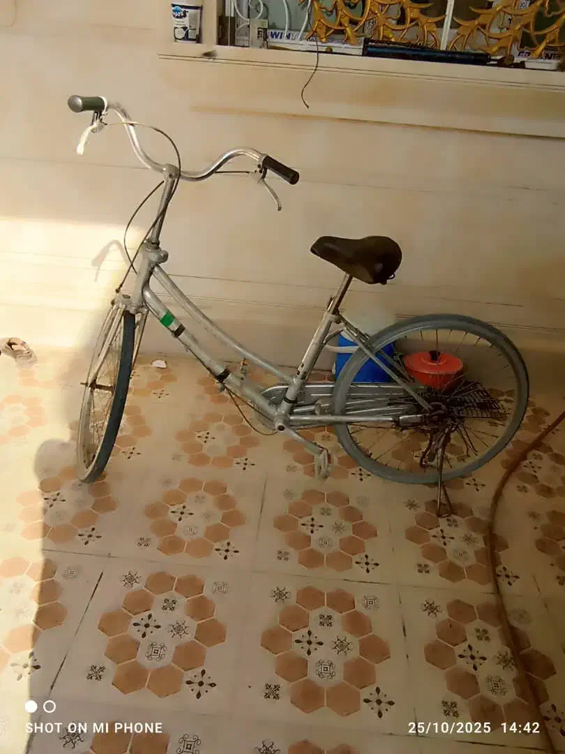 دوچرخه|دوچرخه، اسکیت، اسکوتر|بندر ماهشهر, |دیوار