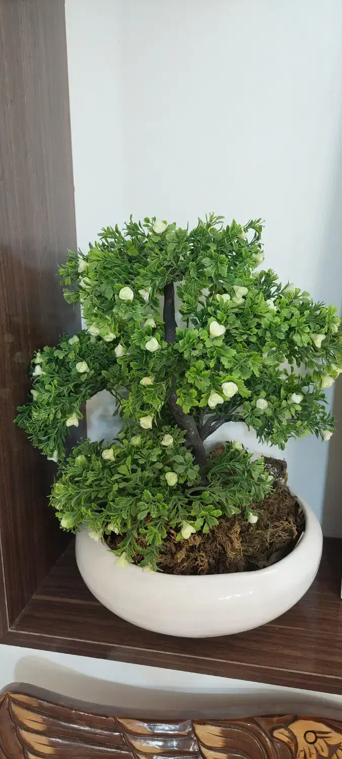 گلدان مصنوعی|گل مصنوعی|تربت جام, مسکن مهر|دیوار