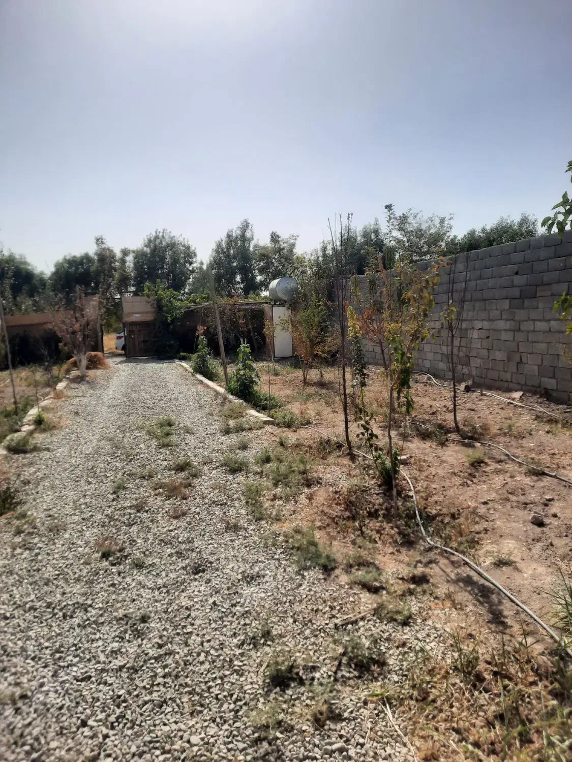 باغچه در خیابان اول کاشانک اسلامشهر|فروش زمین و ملک کلنگی|اسلامشهر, کاشانک|دیوار