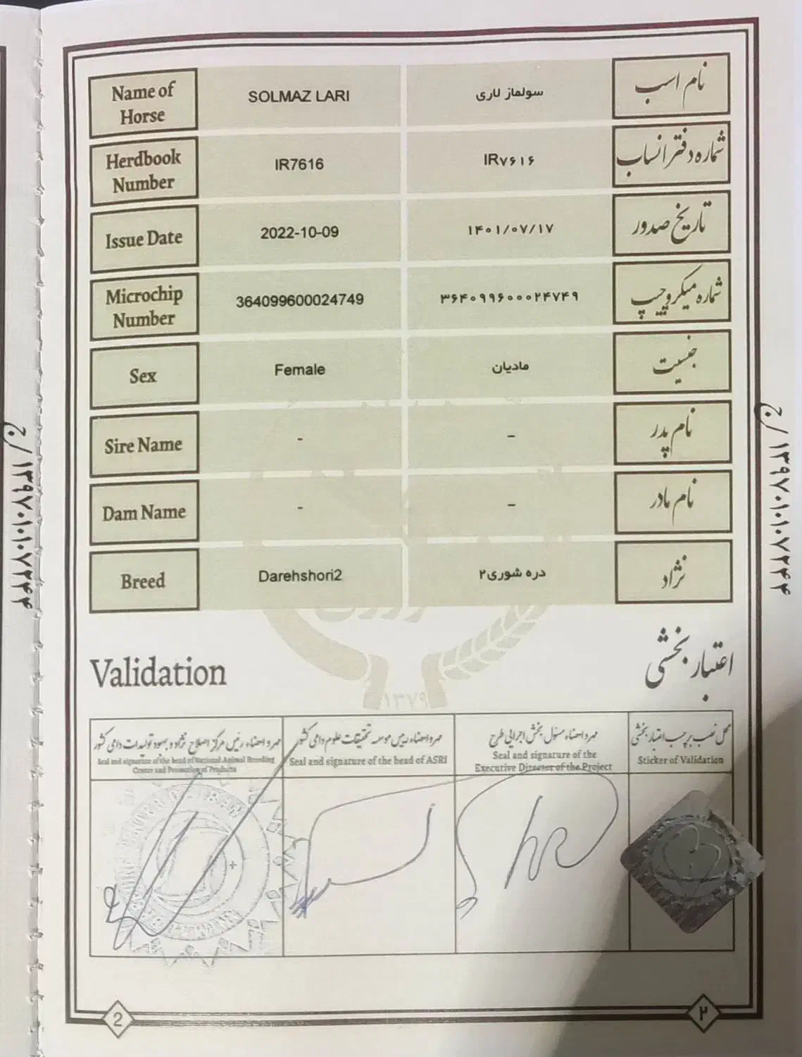 فروش کره نریان دره شور  ۲سال|اسب و تجهیزات اسب‌سواری|نی‌ریز, |دیوار