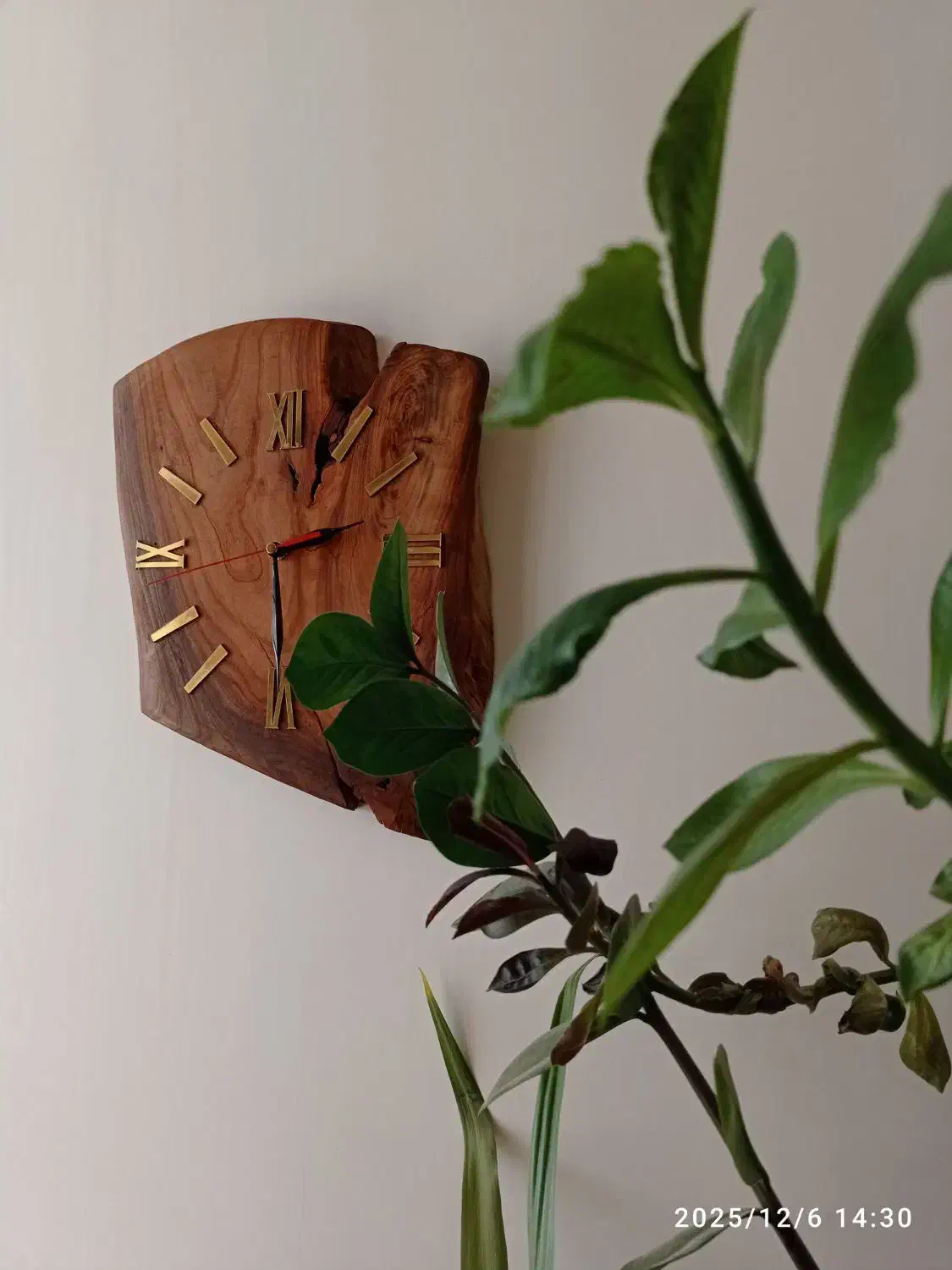 ساعت چوبی زیبا|ساعت دیواری و تزئینی|زرند, |دیوار