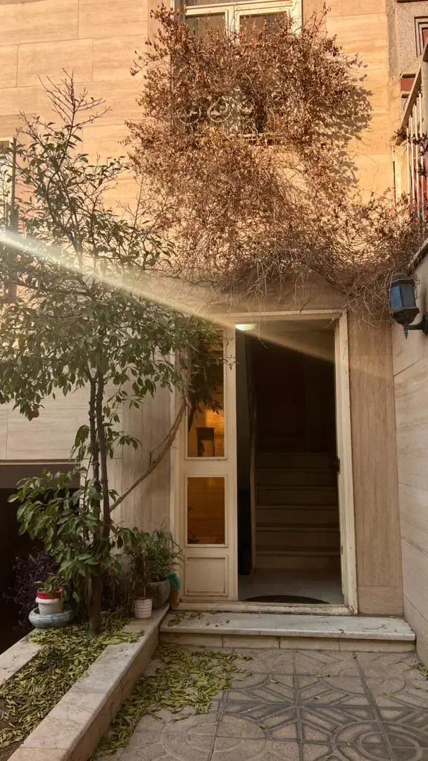 70 متری جامی،شیخ هادی