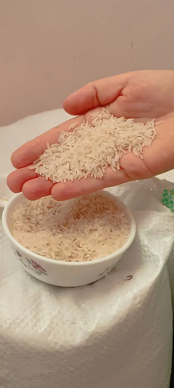 برنج ایرانی|عمدهفروشی|شاهینشهر, شهرک سایت|دیوار