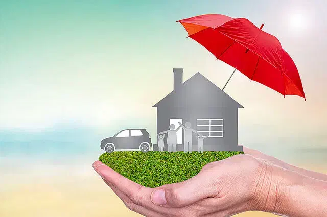 کارگزار رسمی بیمه بازار|خدمات مالی، حسابداری، بیمه|سبزوار, کوی گلستان|دیوار