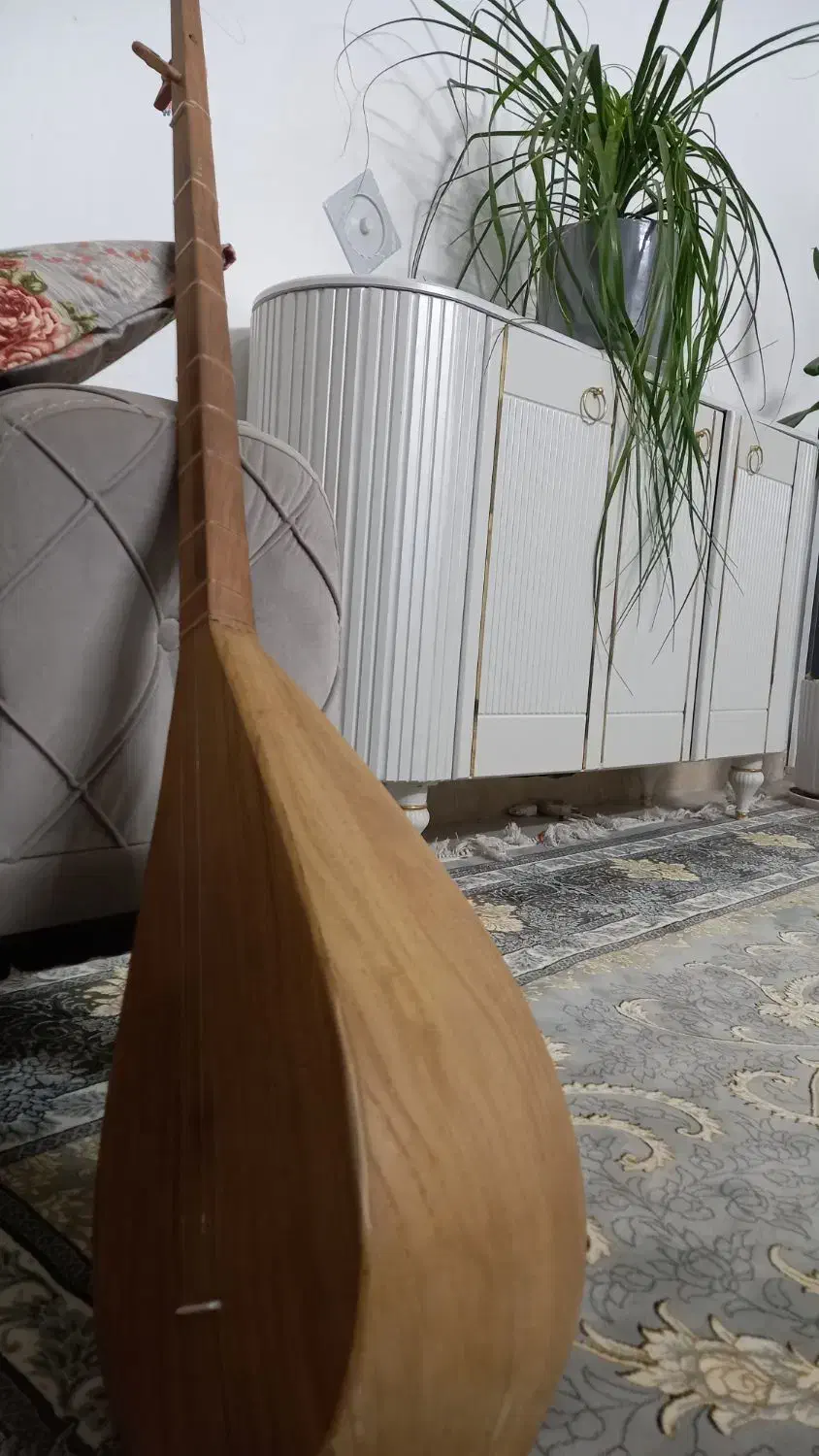 دوتار|سازهای سنتی|تربت جام, جامی|دیوار