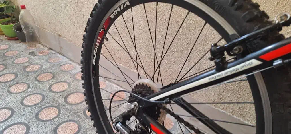 دوچرخه ۲۶ ویوا اصل بارکد دار سالم|دوچرخه، اسکیت، اسکوتر|لاهیجان, مهرگان|دیوار