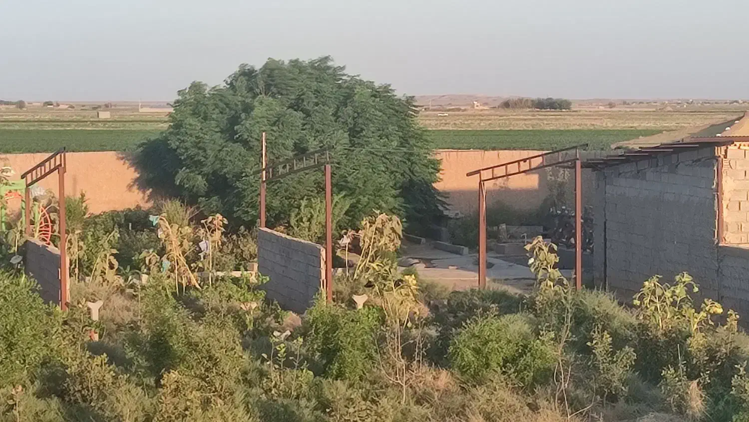 فروش ۲۸۰۰متر باغ و دامداری در تربت جام|فروش دفتر صنعتی، کشاورزی، تجاری|تربت جام, میان جام|دیوار