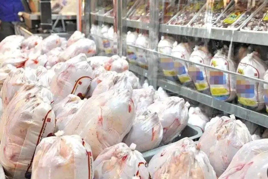 راهنمایی درمورد شغل مرغ فروشی|فعالیت داوطلبانه تحقیقاتی|خمینیشهر, |دیوار