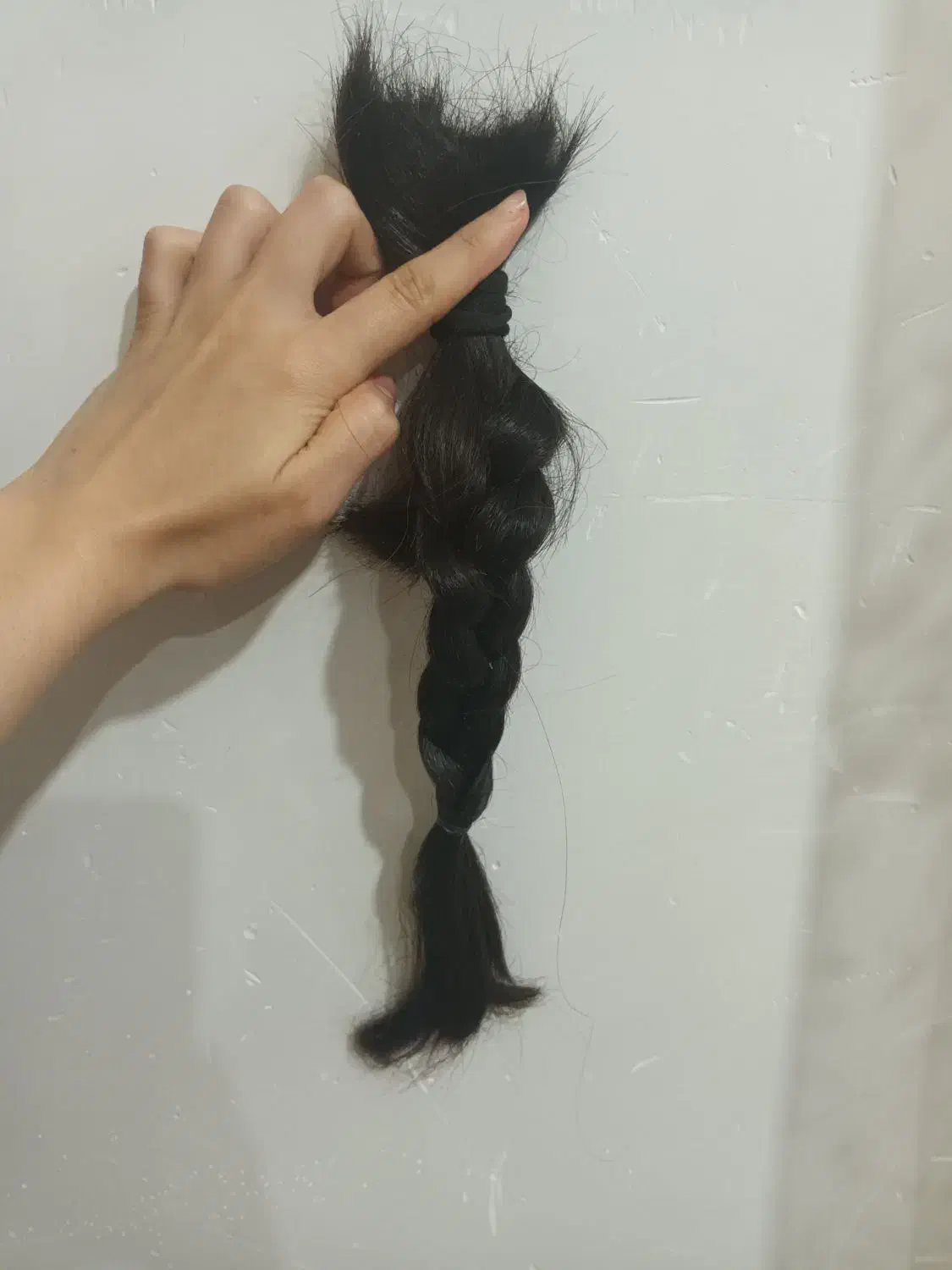 زیبایی|آرایشی، بهداشتی، درمانی|هریس, |دیوار