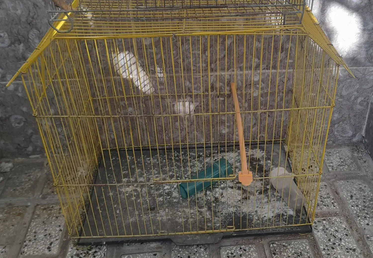 قفس پرنده|لوازم جانبی حیوانات|گرگان, |دیوار