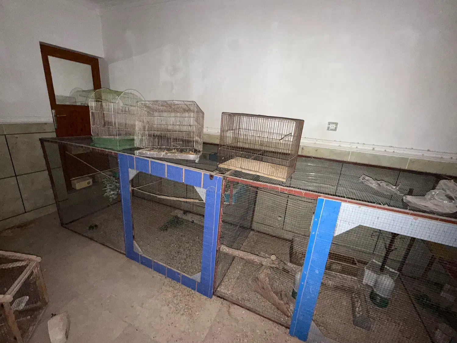 قفس بزرگ پرنده|لوازم جانبی حیوانات|بندر دیر, |دیوار