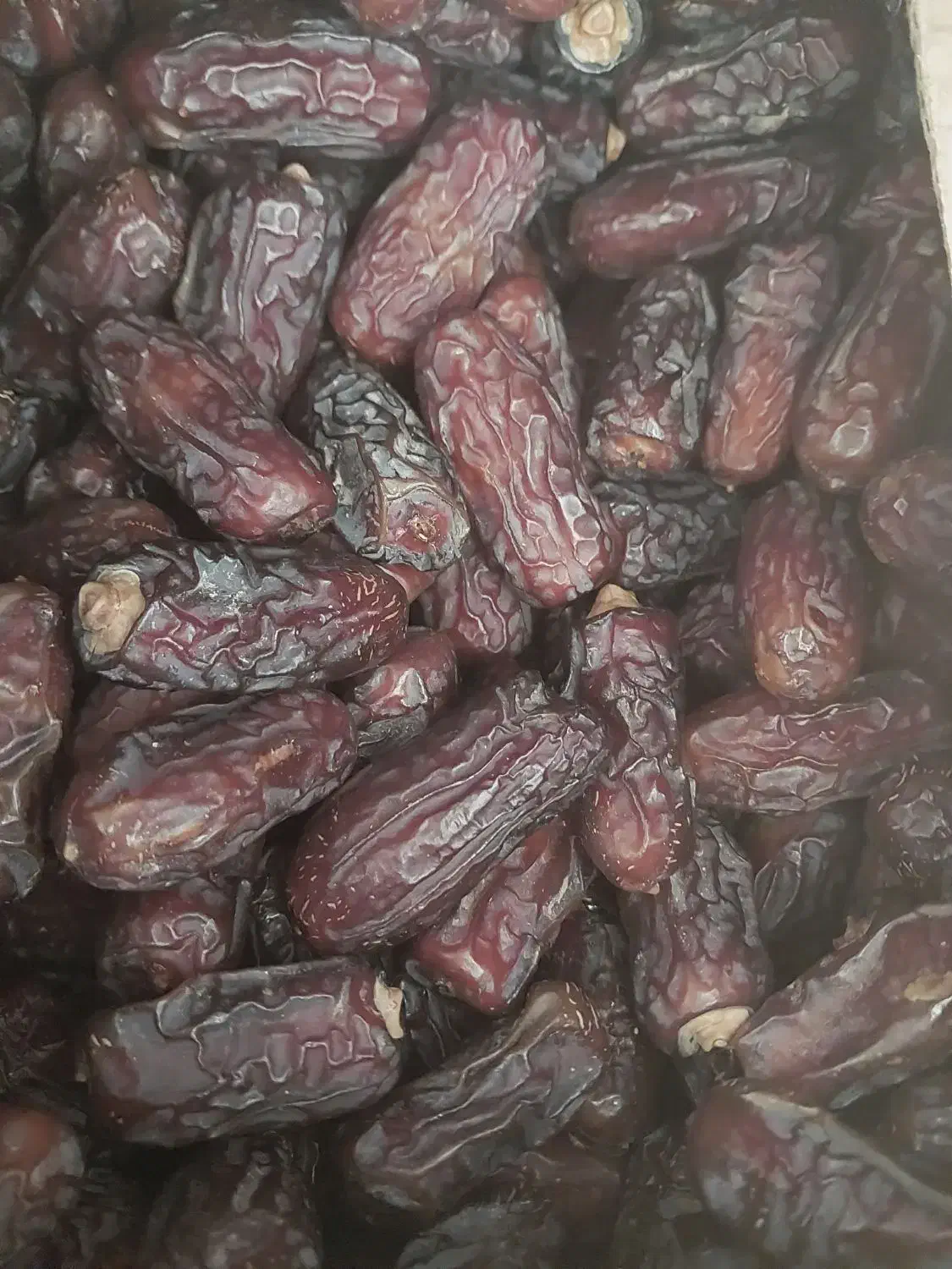 خرمای مشکی درشت حاجی اباد|خوردنی و آشامیدنی|حاجی آباد, |دیوار