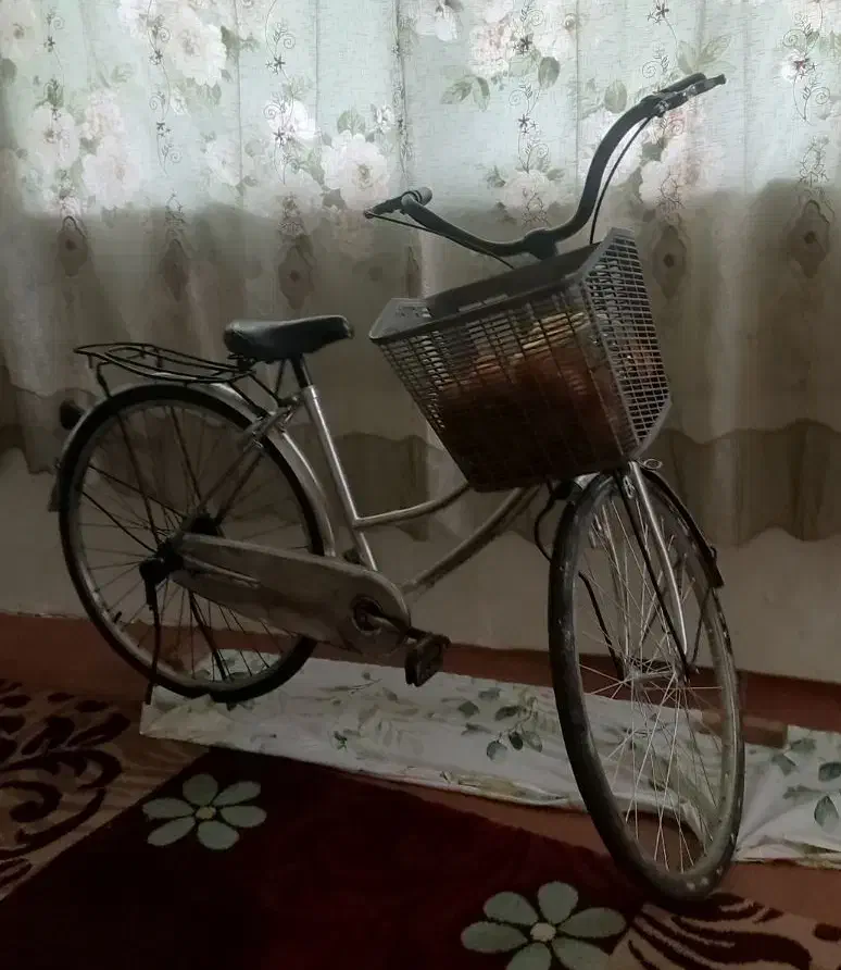 دوچرخه علی وسبک وفوقو الاده روون|دوچرخه، اسکیت، اسکوتر|شیرگاه, |دیوار