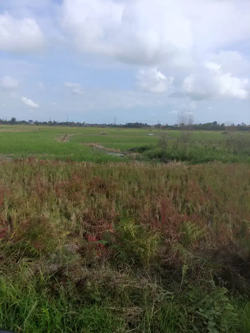 فروش مزرعه مکانیزه به متراژ۳۶۰۰متر ۵۰۰متری خیابان|فروش زمین و ملک کلنگی|املش, |دیوار