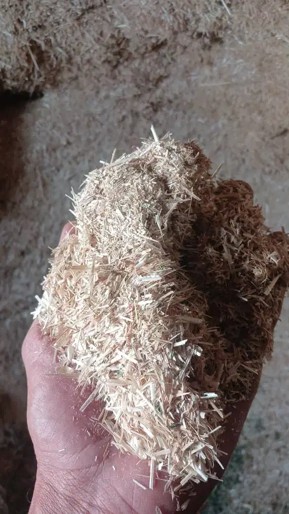 کاه نرم و ریز|حیوانات مزرعه|میناب, |دیوار