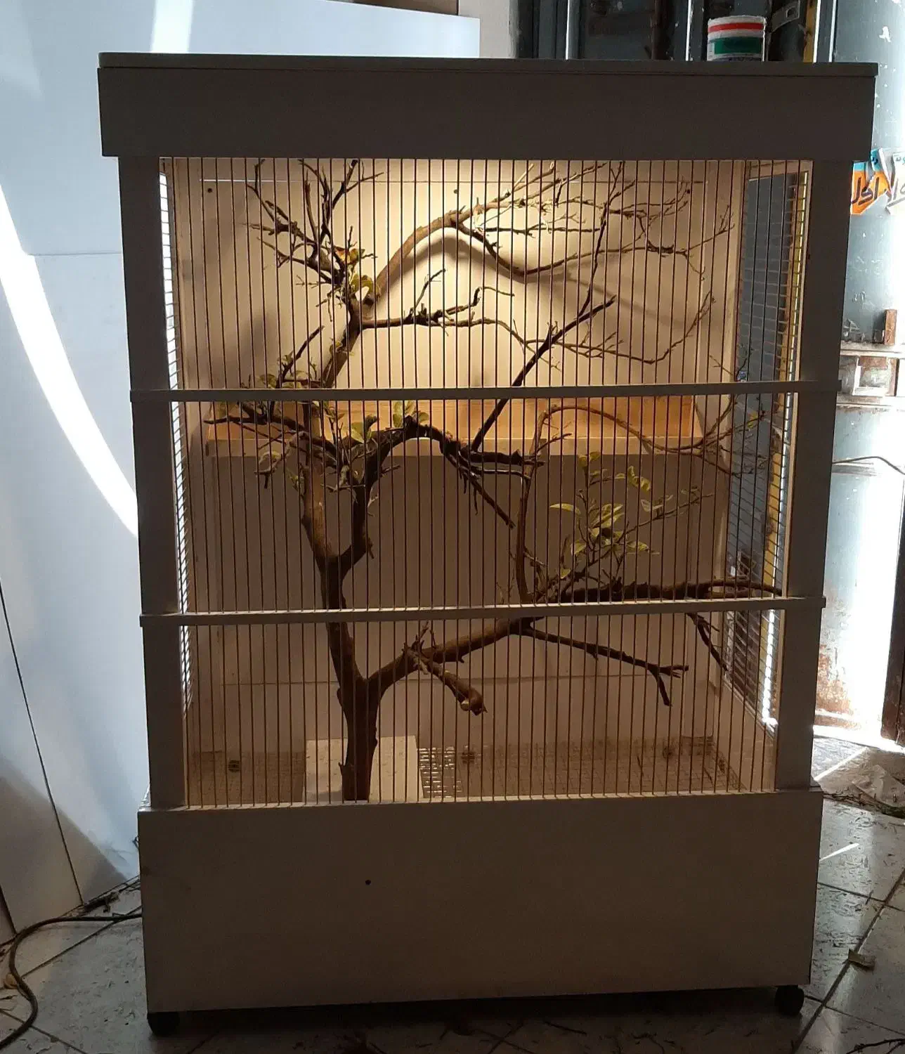 قفس حرفه ای طوطی و عروس و کاسکو|لوازم جانبی حیوانات|تهران, جردن|دیوار