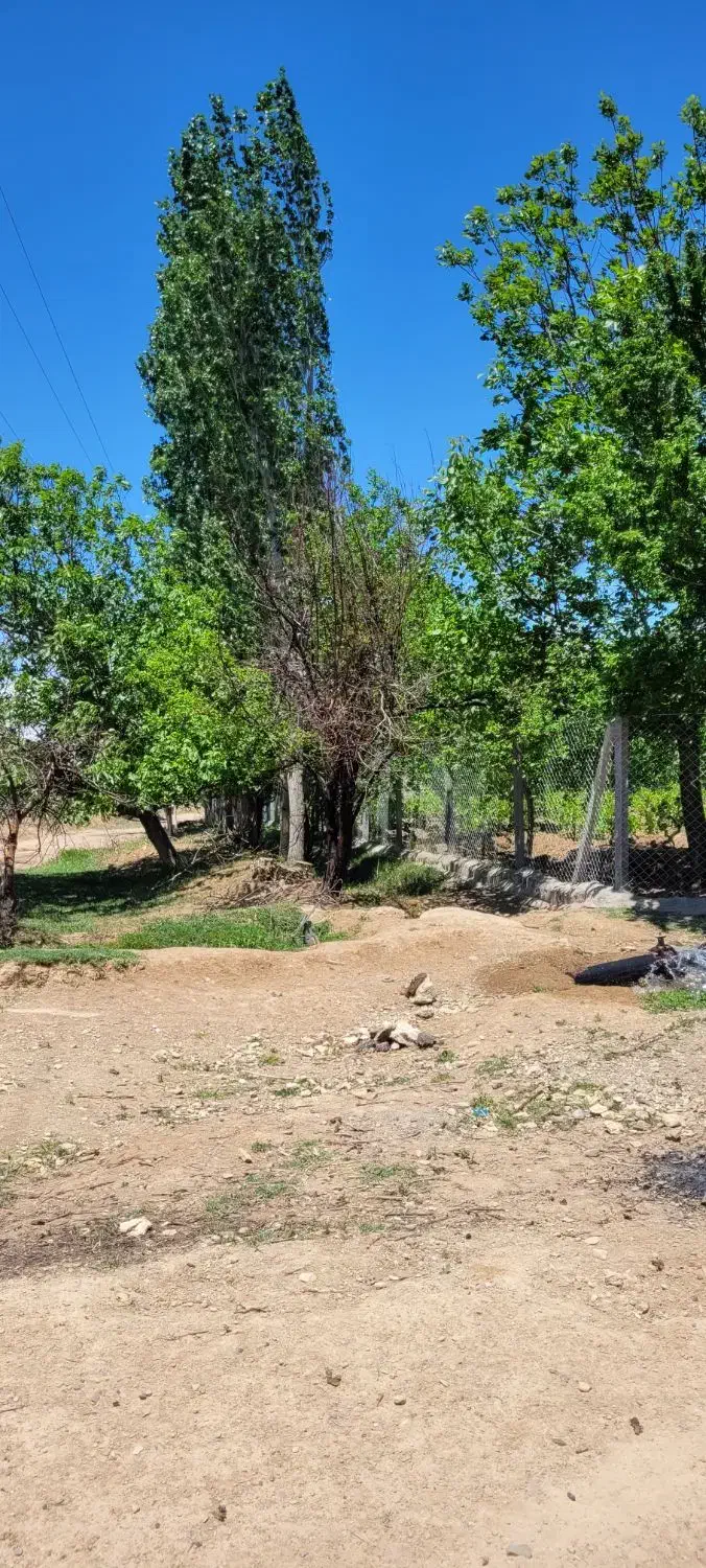 باغ انگور|فروش زمین و ملک کلنگی|ضیاء آباد, |دیوار