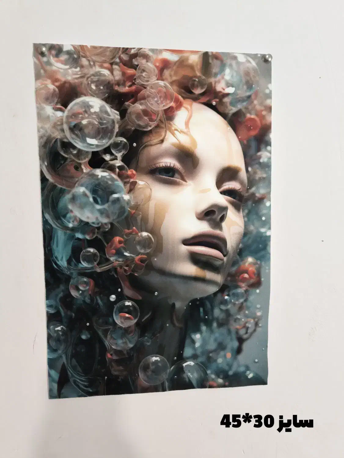 عکس چاپ شده با مخمل / ارزان|تابلو، نقاشی، عکس|تربت‌حیدریه, کلاته توکلی|دیوار