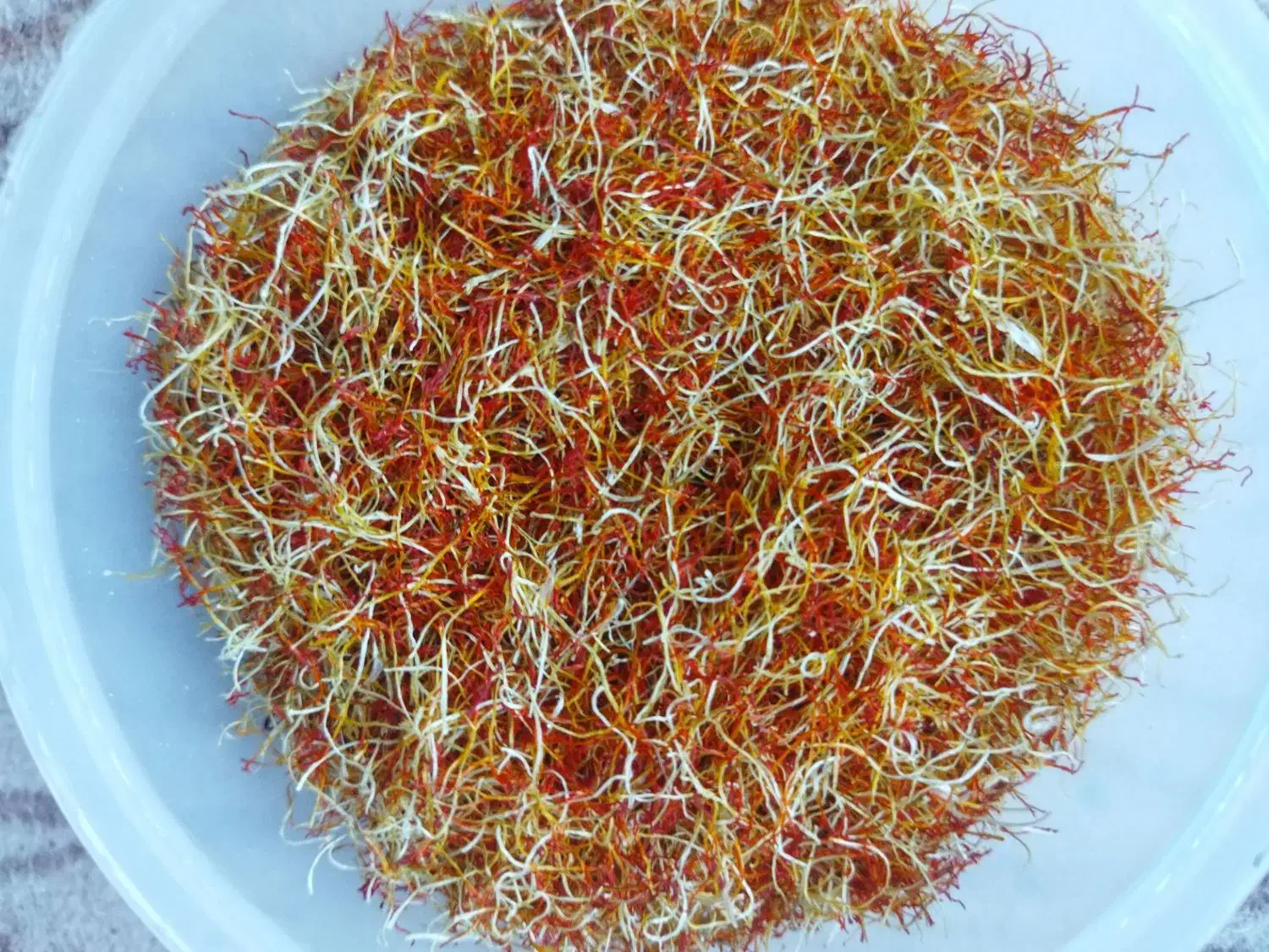 ریشه زعفران|خوردنی و آشامیدنی|بیرانوند, |دیوار