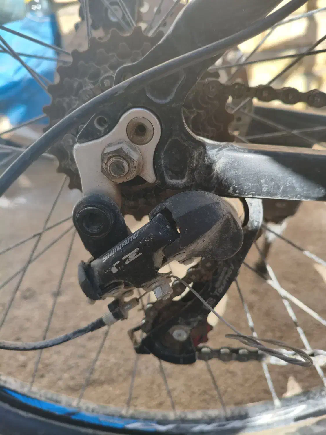 دوچرخه حرفه ای|دوچرخه، اسکیت، اسکوتر|مرودشت, دولت آباد|دیوار