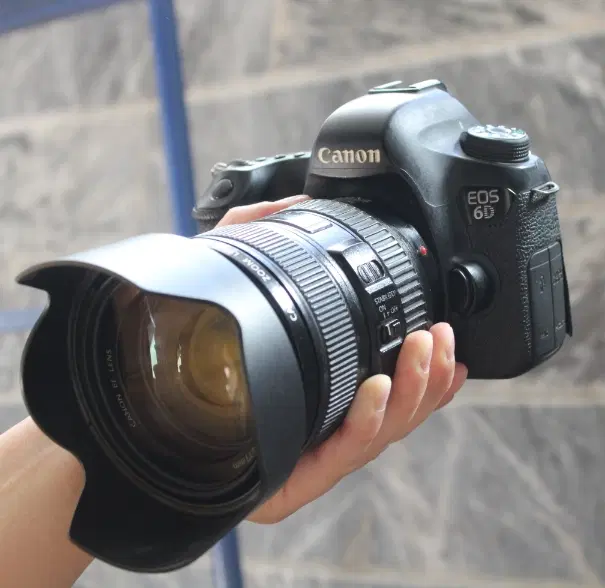 دوربین ۶دی کنون 6D Canon|دوربین عکاسی و فیلم‌برداری|قم, نخودی|دیوار