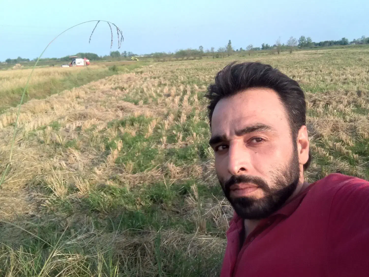 جوشکاری +دیوارچینی+تمیز کردن باغ+گچ کاری|خدمات پیشه و مهارت|لولمان, |دیوار