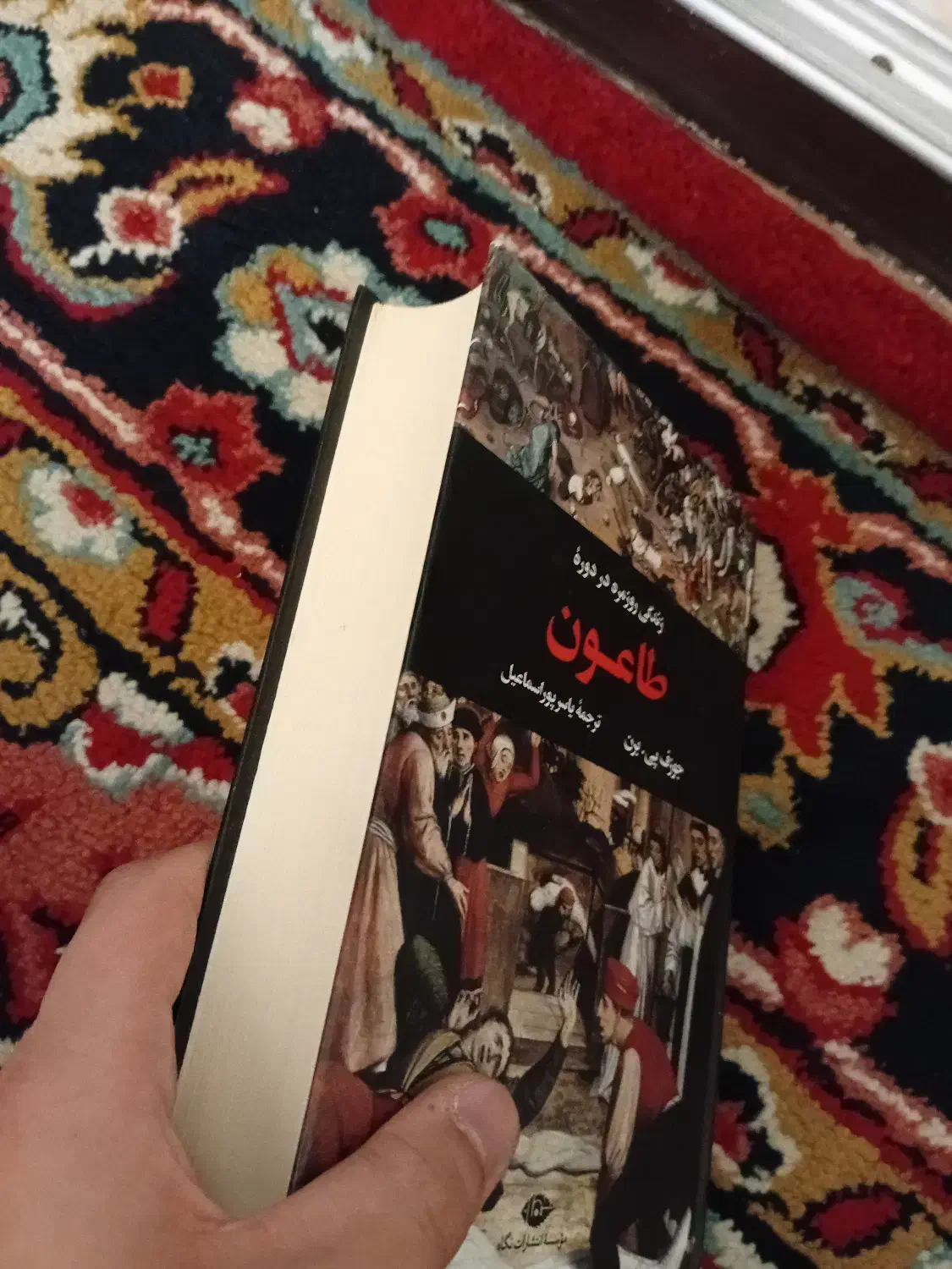 کتاب زندگی روزمره در دوره طاعون|کتاب و مجله مذهبی|فردیس, منظریه|دیوار