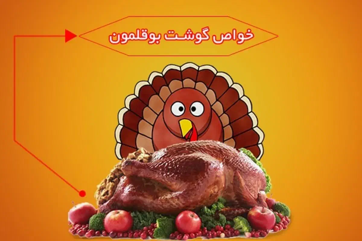 بوقلمون گوشتی بیوتی|حیوانات مزرعه|قوچان, |دیوار