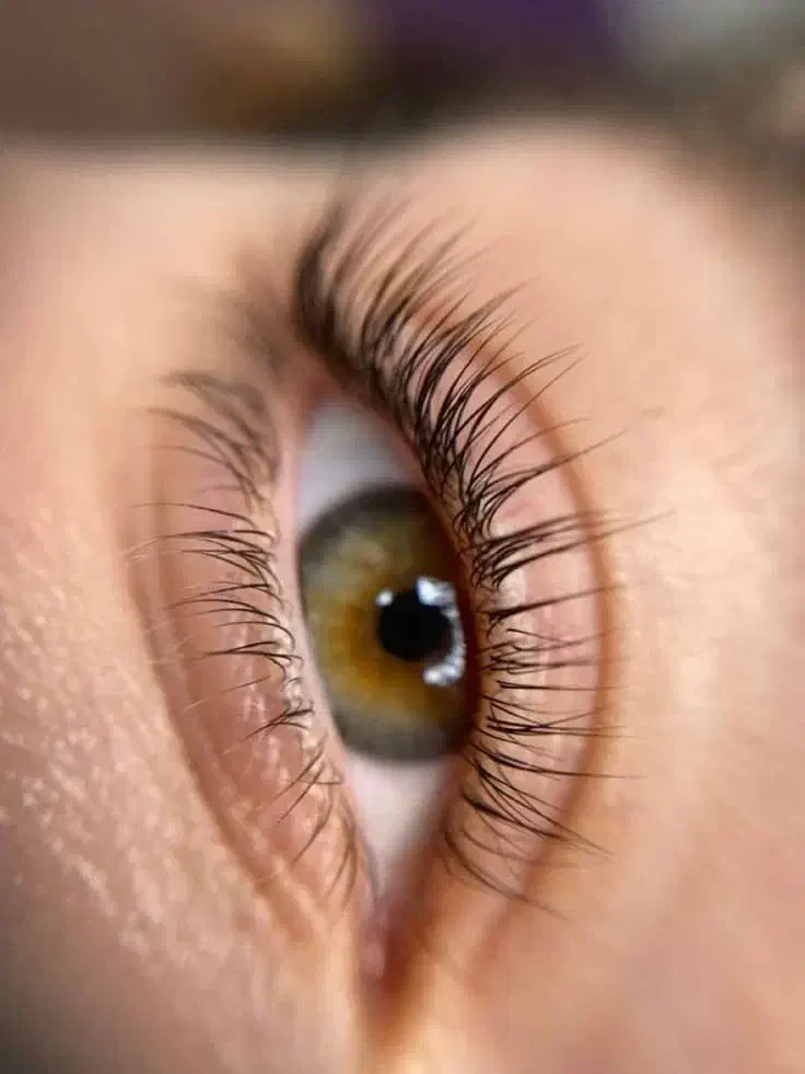 کاشت واکستنشن لیفت و لمینت مژه|خدمات آرایشگری و زیبایی|مشهد, گلشور|دیوار