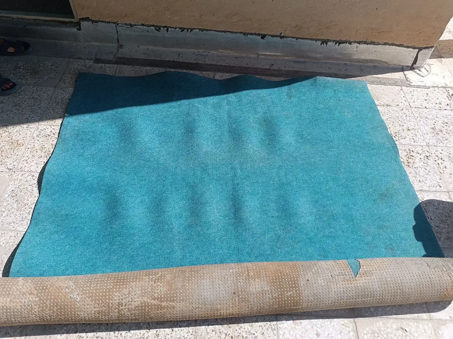 موکت|موکت|اصفهان, صدف|دیوار