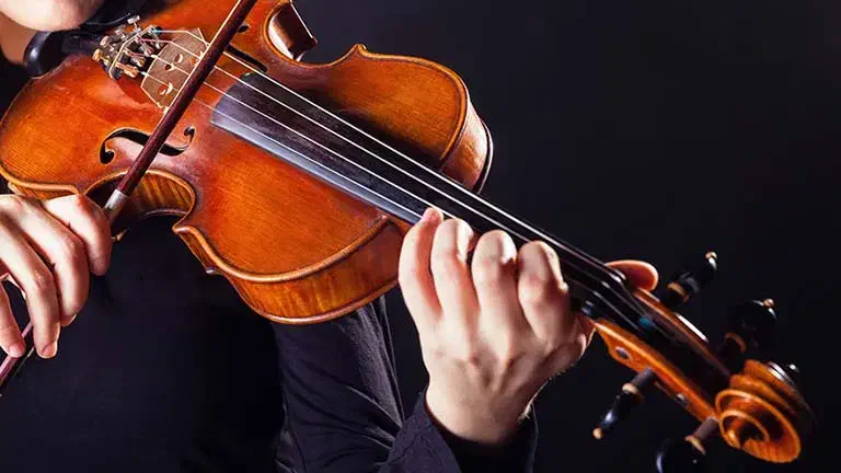 آموزش ویالن مبتدی|خدمات آموزشی|تنکابن, |دیوار