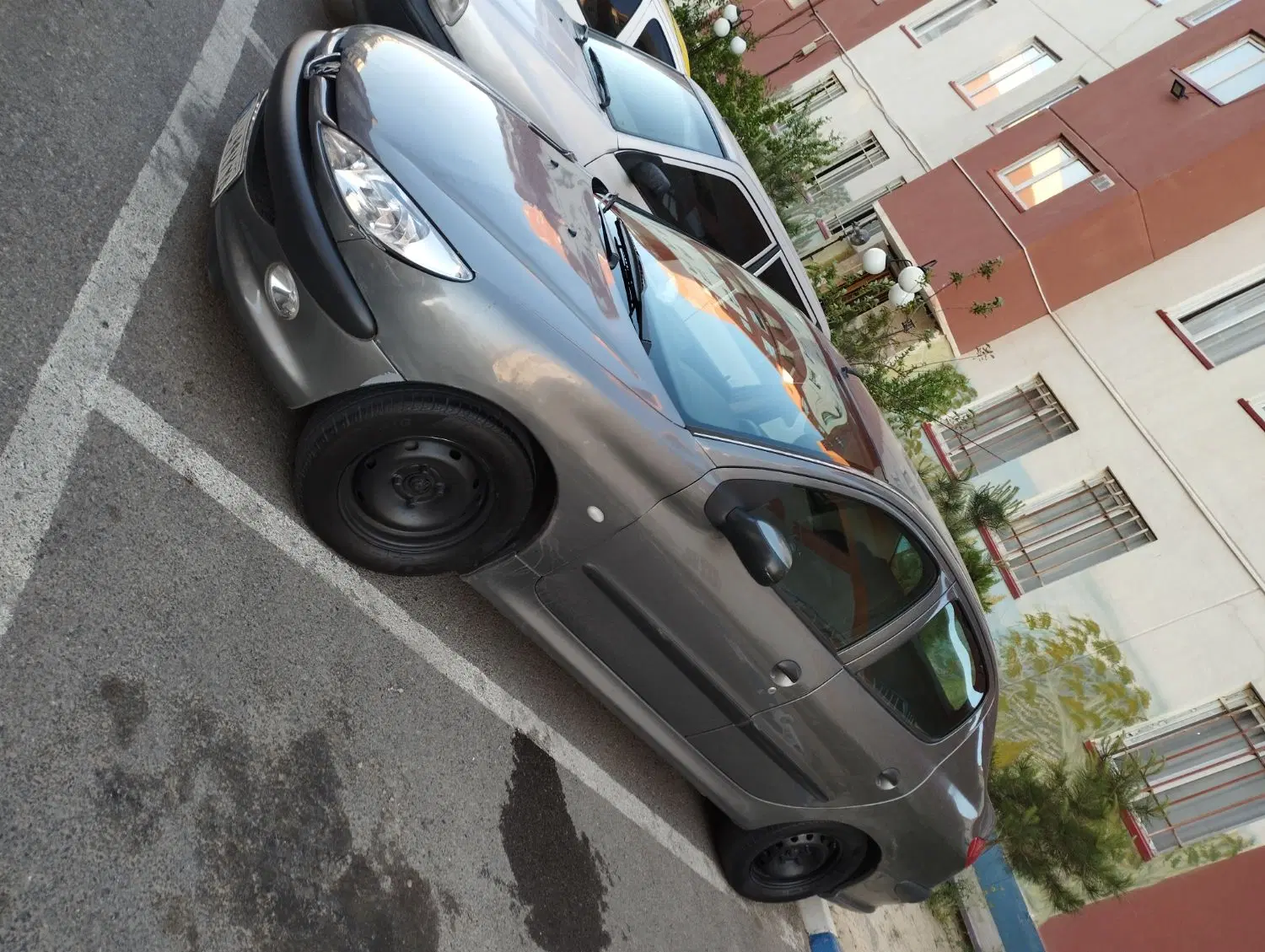 206 sd v8|خودرو سواری و وانت|بناب, |دیوار