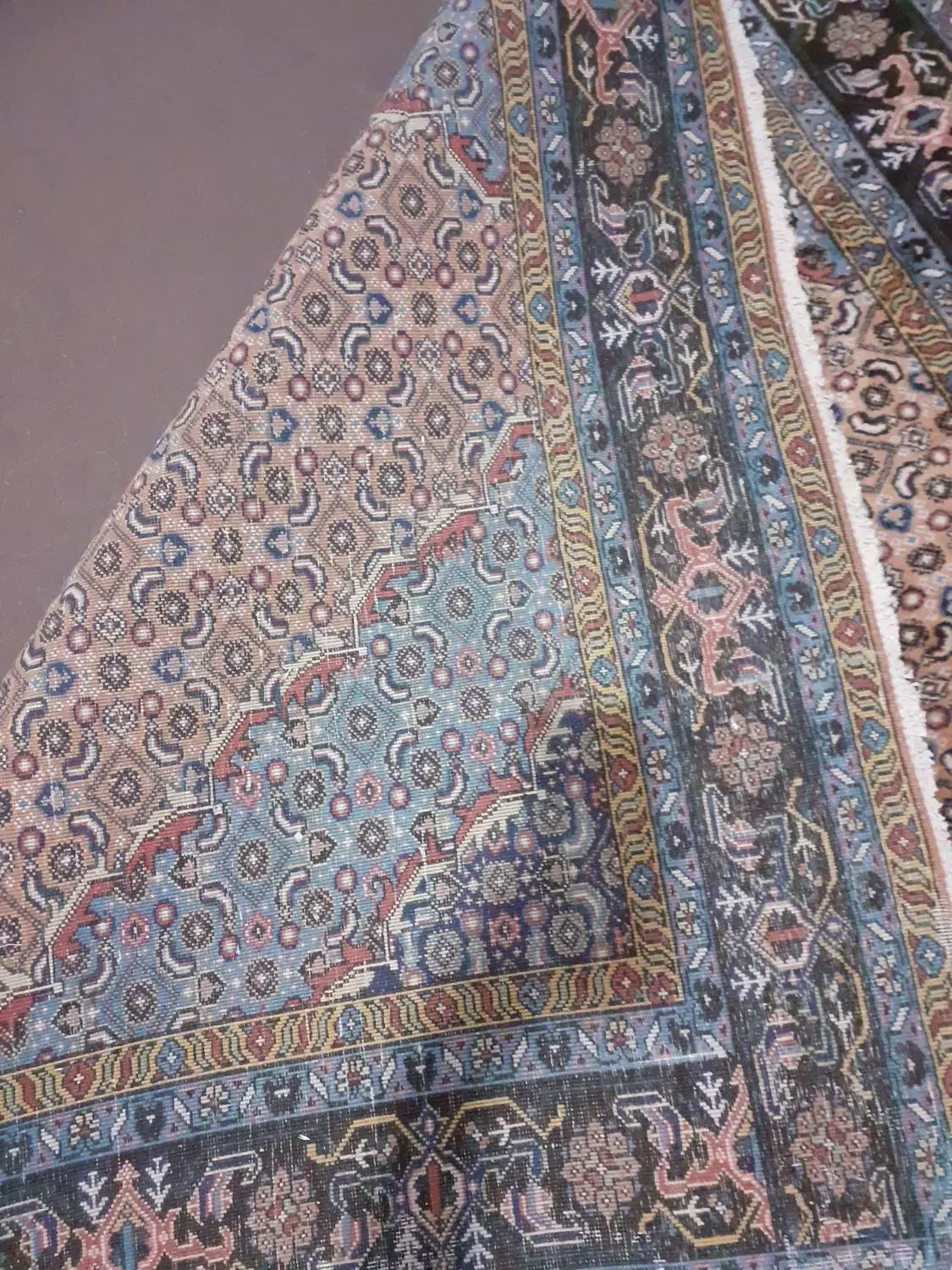 فرش طبیعی|فرش|اردبیل, |دیوار