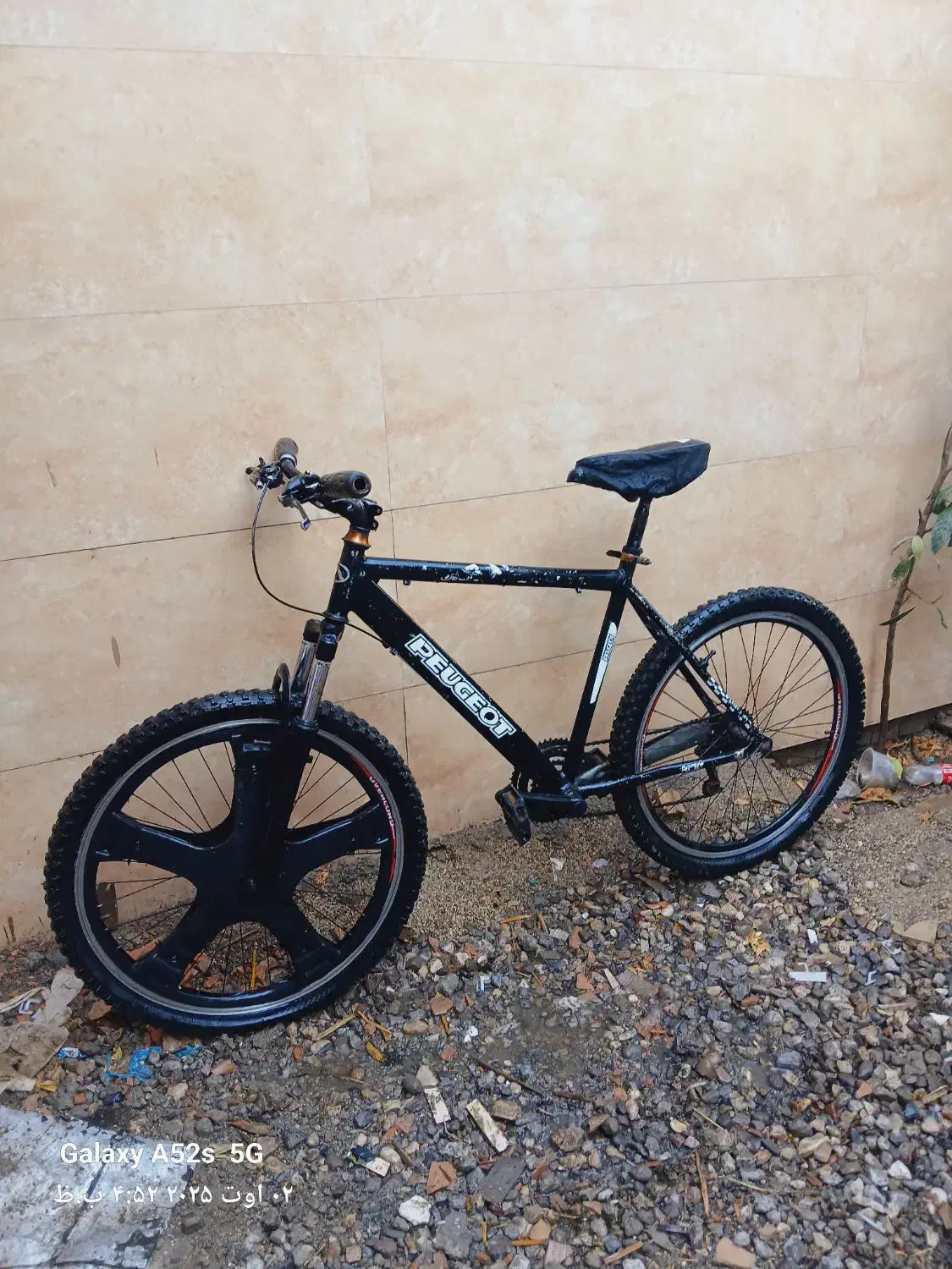 دوچرخه ۲۶ و ۲۴|دوچرخه، اسکیت، اسکوتر|گنبد کاووس, |دیوار