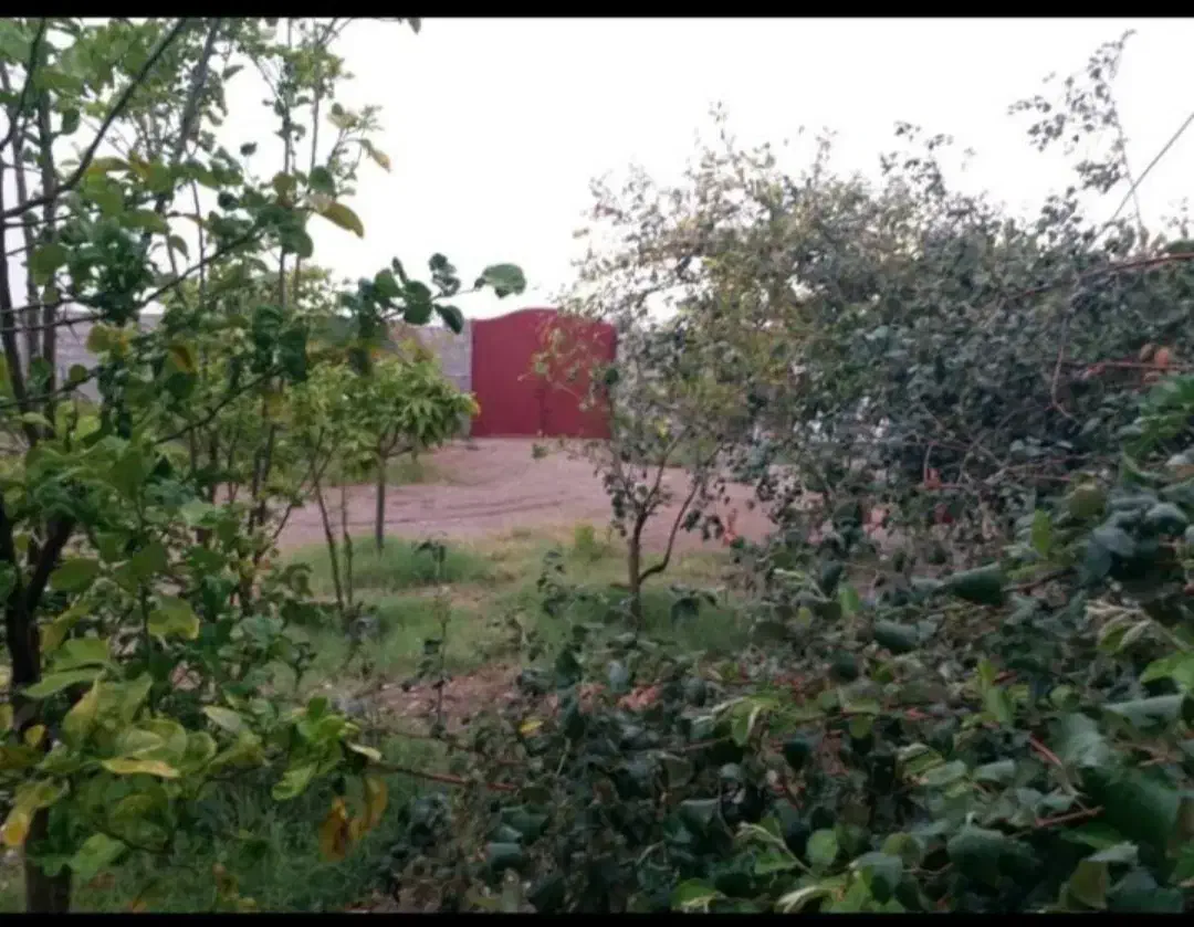 فروش خانه ویلا زیارت سید سلیمان|فروش خانه و ویلا|تخت, |دیوار