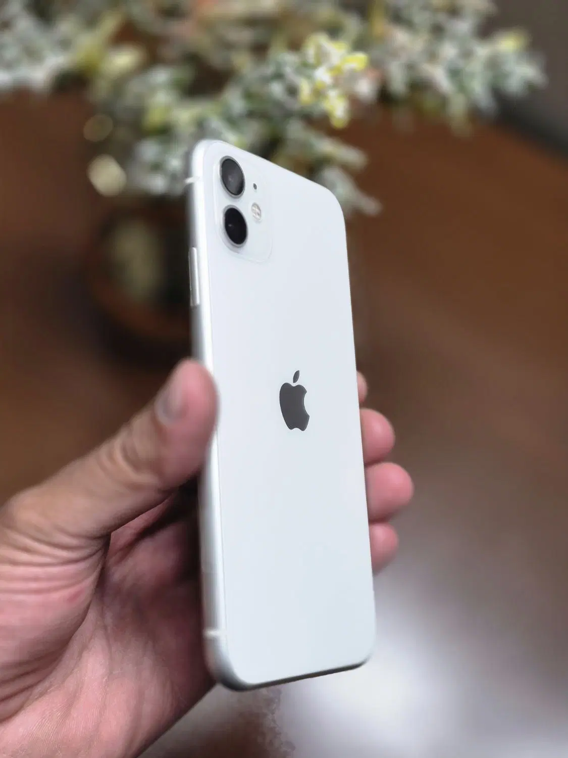 iphone 11 Normal|موبایل|اراک, |دیوار
