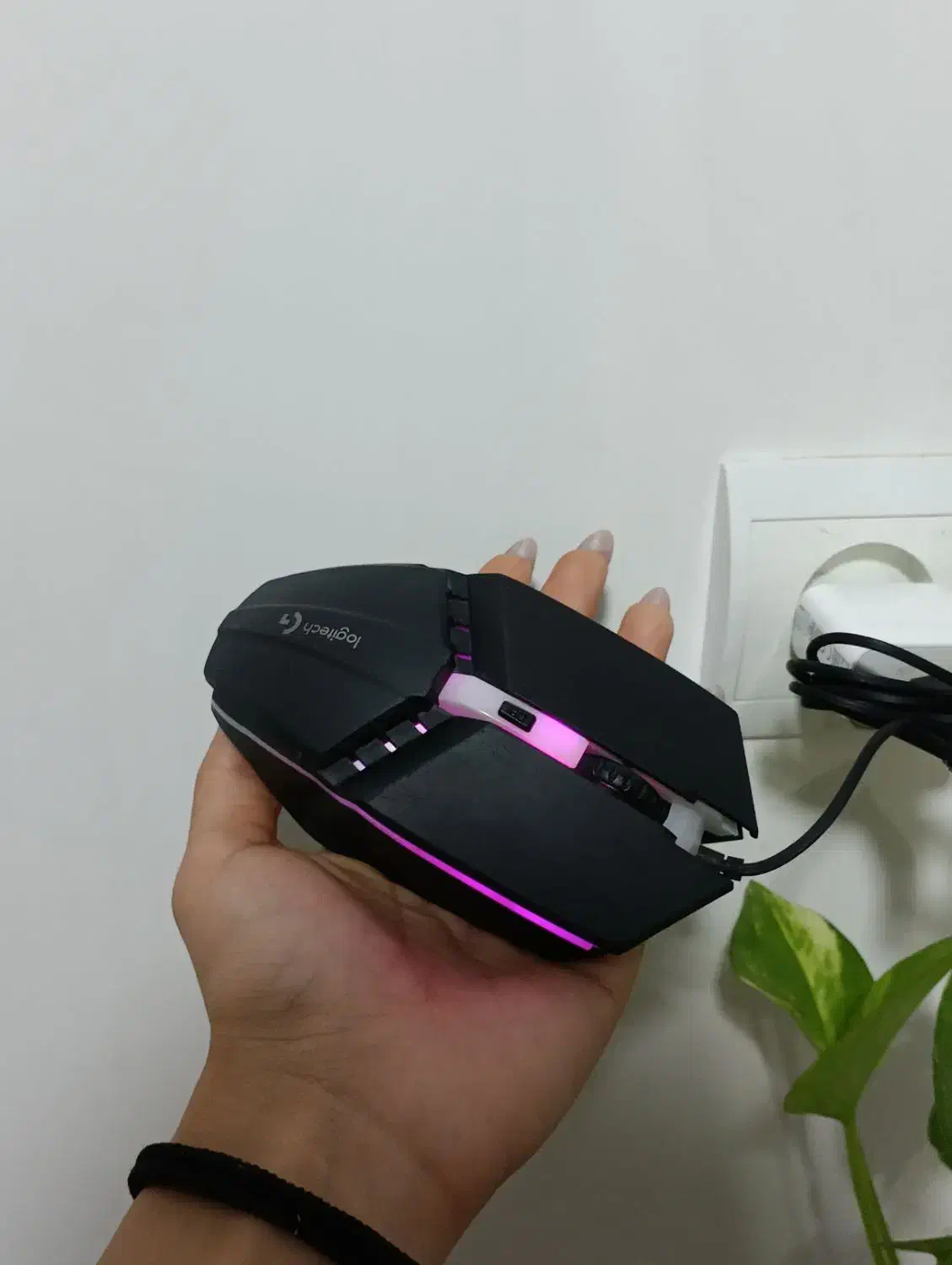 موس گیمینگ|قطعات و لوازم جانبی رایانه|گنبد کاووس, |دیوار